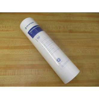Pentair P5 Sediment Filter Cartridge 5 Micron (Pack of 2)