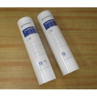 Pentair P5 Sediment Filter Cartridge 5 Micron (Pack of 2)