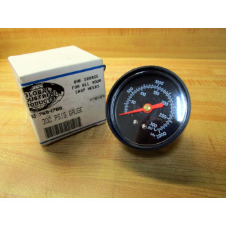 Ametek P781643 Gauge