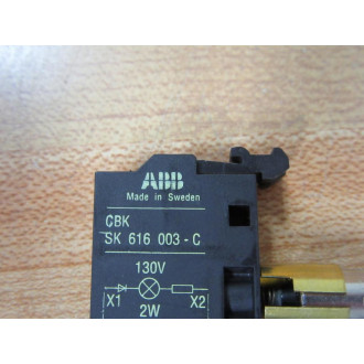 ABB SK 616 003-C Light Module SK616003C - New No Box