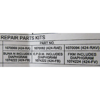 Pentair 1070069 Diaphragm & Seal Kit 424-RA