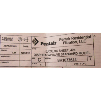 Pentair 1070069 Diaphragm & Seal Kit 424-RA