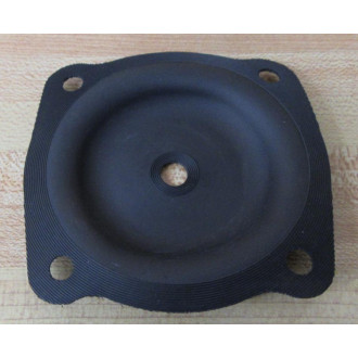 Pentair 1070069 Diaphragm & Seal Kit 424-RA