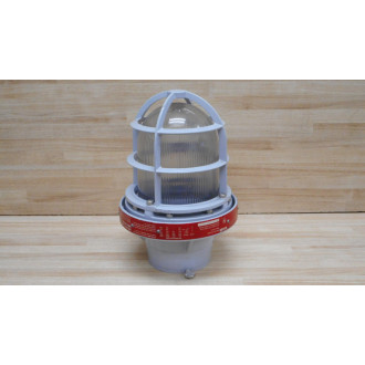 RAB Lighting EX124 Explosion Proof  Ceiling Guard - New No Box
