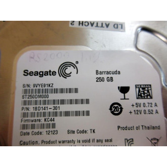Seagate 1BD141-301 3.5" HDD ST250DM000 - Used