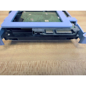 Seagate 1BD141-301 3.5" HDD ST250DM000 - Used