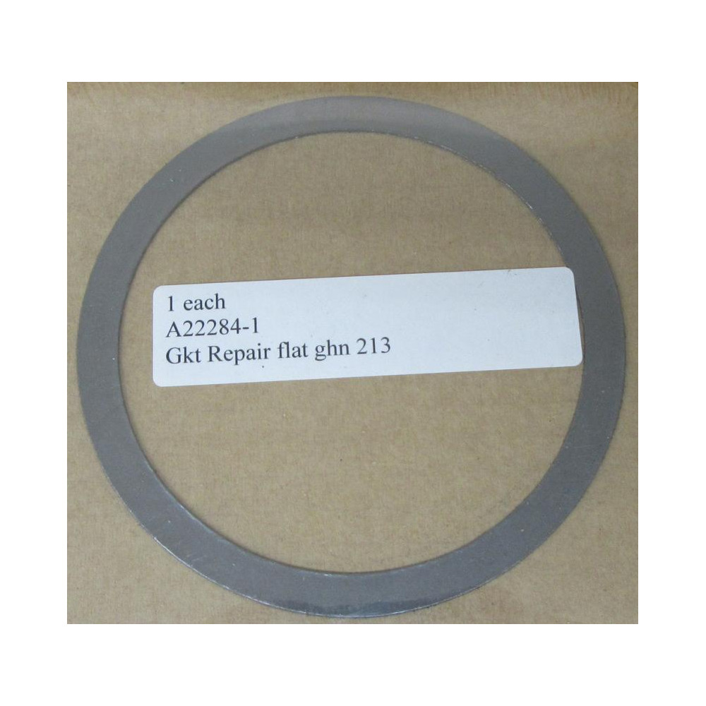 Armstrong A22284-1 Repair Gasket A222841
