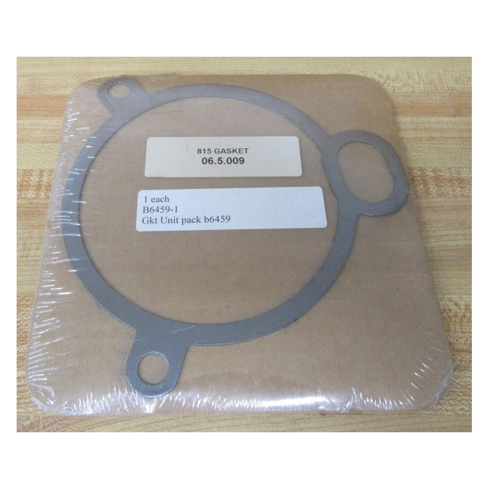 Armstrong B6459-1 Repair Gasket B64591