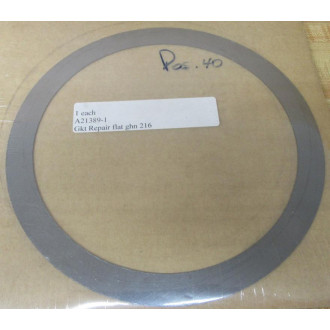 Armstrong A21389-1 Repair Gasket A213891
