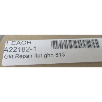 Armstrong A22182-1 Repair Gasket A221821
