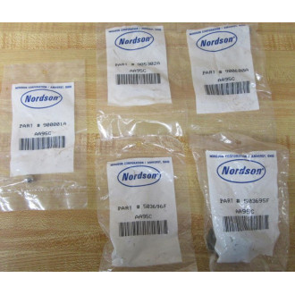 Nordson 105452A Service Kit AA95C