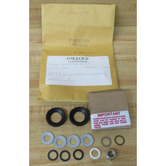 Worcester Controls RK44PMR17 Valve Repair Kit 1" RK44PMR17