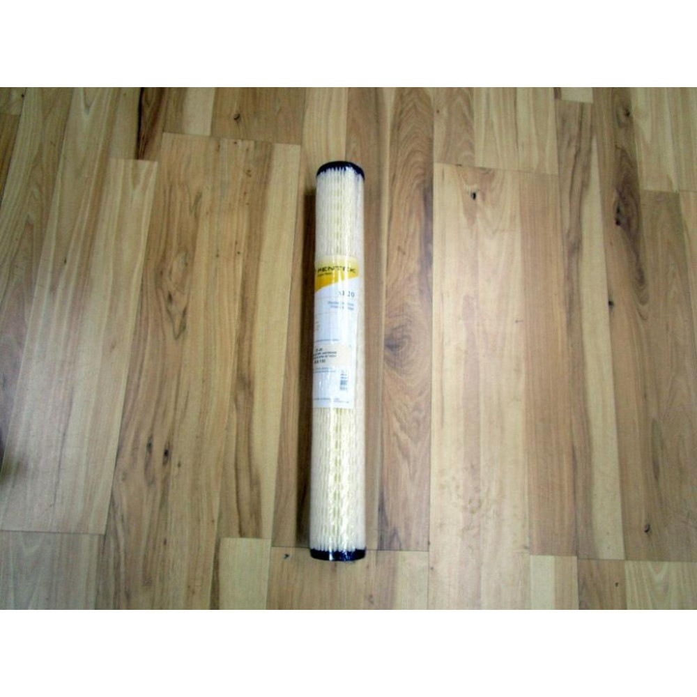 Pentek S1-20 Pleated Filter Cartridge 08.9.130 20" Inches (Pack of 2) Pentek S1-20 Pleated Filter Cartridge 08.9.130 20" Inches (Pack of 2)