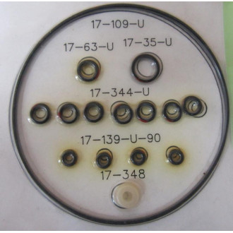 Tri-Clover RK-74-100 Service Kit RK74100