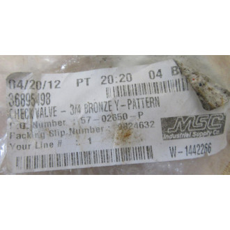 Legend Valve 105-304 Y-Check Valve 105304