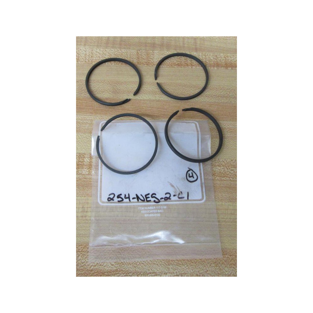 Nopak 254-NES-2-C1 Seal (Pack of 4) - New No Box