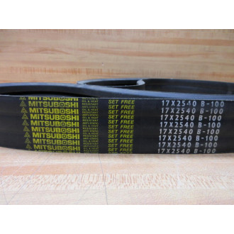 Mitsuboshi Belting 17X2540 V-Belt B-100