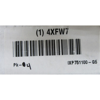 Simpson 4XFW7 Anchoring Bolt IXP-751100-G5 (Pack of 4)