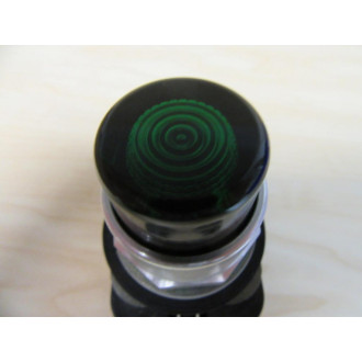 Allen Bradley 800T-QBL10G Push Button Switch