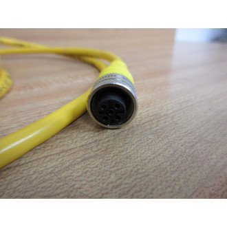 Brad Harrison  Daniel Woodhead 885030A09M050 Extension Cord 885030A09M050