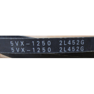 Dayton 2L452G V Belt 5VX1250