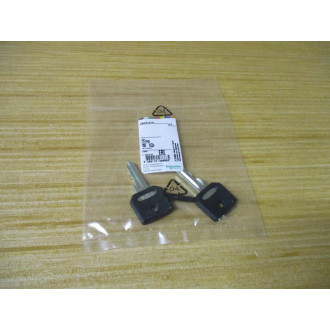Schneider ZBG3131A Key Set