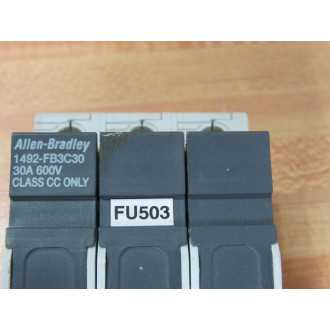 Allen Bradley 1492-FB3C30 Fuse Holder 1492FB3C30 - New No Box