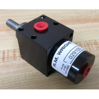 R.M. Wright 029105 Valve - New No Box