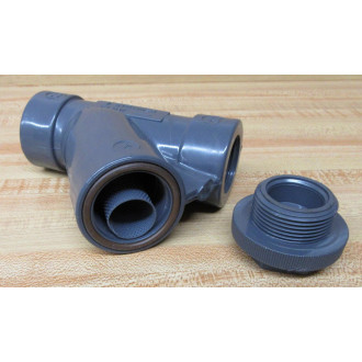 Hayward YS10100T Y-Strainer WO Hex Cap