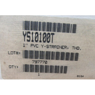 Hayward YS10100T Y-Strainer