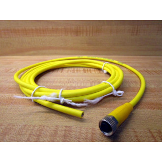 Balluff BCC050P Cable BCCM313000010001PX43T2020
