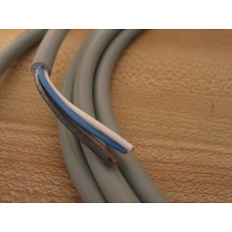 Pepperl + Fuchs V1-W-2M-PVC QD Cable V1W2MPVC