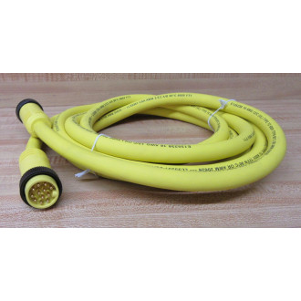Daniel Woodhead  Brad Harrison 332020K04M040 Cord Set
