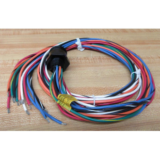 Brad Harrison  Daniel Woodhead 3R2004A20M010 Receptacle