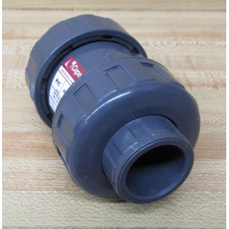 Hayward CPX22015 Check Valve