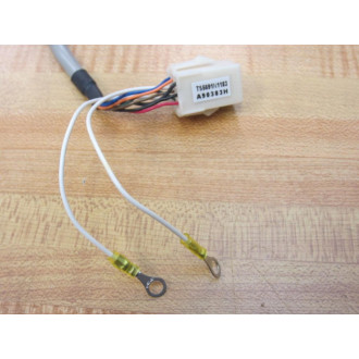 TS5691N1183 Circuit Board WCover W2 Additional Wire Leads - New No Box