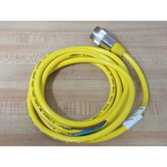 Turck RSM 30-2M Mini Fast Molded Cordset U2075-2