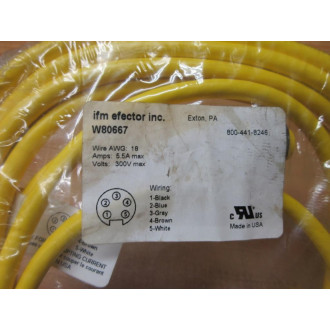 IFM Efector W80667 Cordset