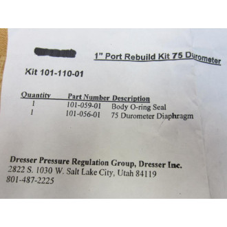 Dresser 101-110-01 1" Port Rebuild Kit 75 Durometer 10111001