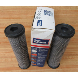 Master Plumber 583377-865E Replacement Filter 583377865E (Pack of 2)