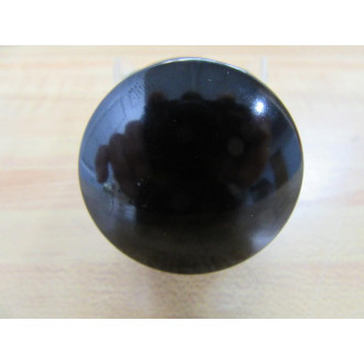 Allen Bradley 800T-D2D1 Pushbutton Switch - New No Box Allen Bradley 800T-D2D1 Pushbutton Switch - New No Box