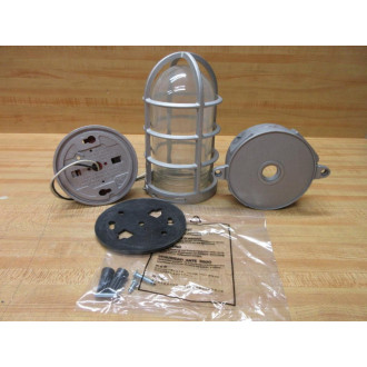 Stonco VCXL11GCN Roughlyte Ceiling Mount WGlobe