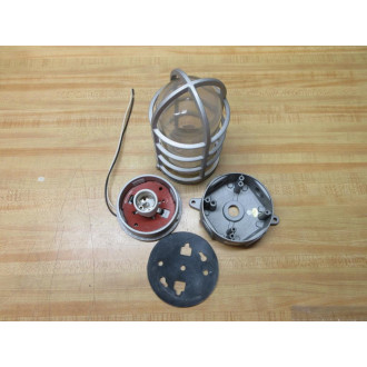 Stonco VCXL11GCN Roughlyte Ceiling Mount WGlobe