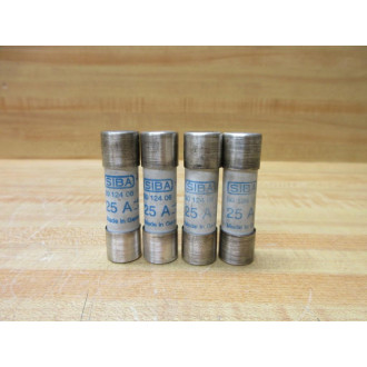 Siba 50-124-06-25A Fuse 50-124-06 - Refurbished