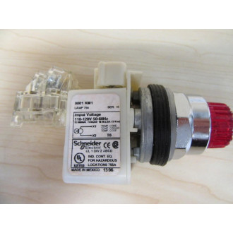 Square D 9001-K2L1RH13 Red Push Button