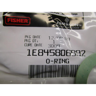 Fisher Controls R667X000502 Repair Kit