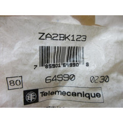 Telemecanique ZA2BK123 Illuminated Selector Switch Green