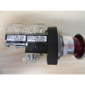 Allen Bradley 800TC-FXQ24RA5 Push Pull Switch