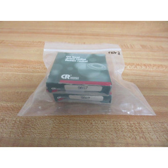 Chicago RawhideSKF 9667 Seal CR-9667 (Pack of 2)