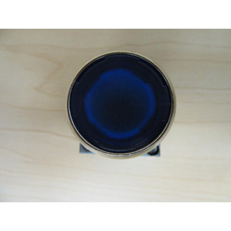 Siemens 3SB3501-0AA51 Blue Button 3SB35010AA51